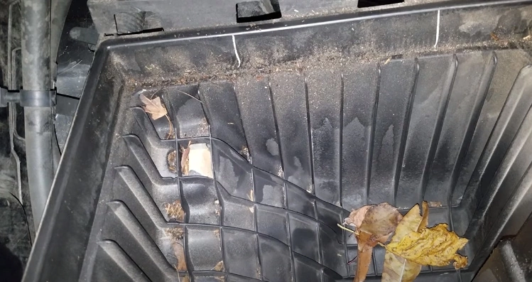 Frequency of Driving